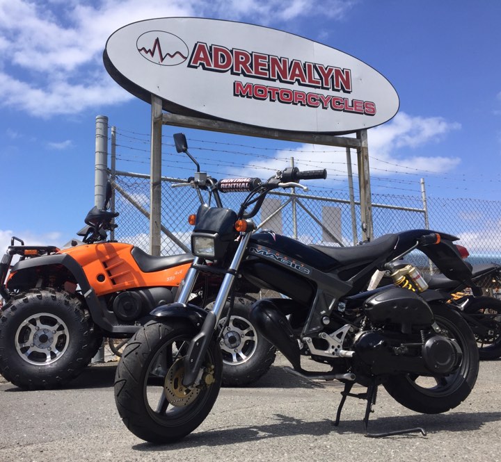 Bike rental Tauranga